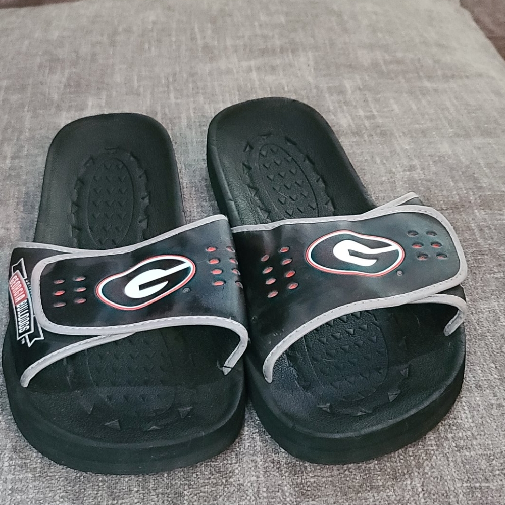 Georgia Bulldogs slides